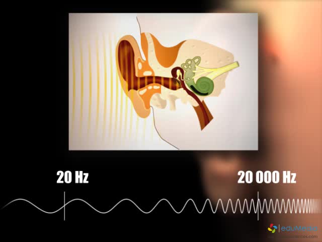 frequences-audibles.jpg