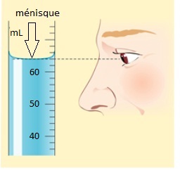 menisque.jpg