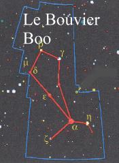 bouvier.JPG (8826 octets)