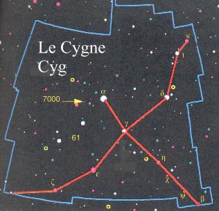 cygne.JPG (20827 octets)