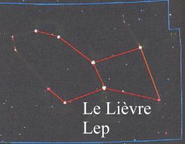 lievre.JPG (8202 octets)