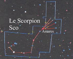 scorpion.JPG (12910 octets)