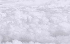 ss003