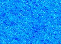 bleu15