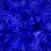 bleu5