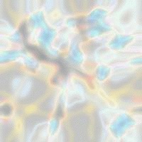 fluo022