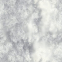 ss043