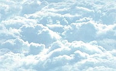 ss232