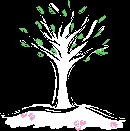 arb_plante_032